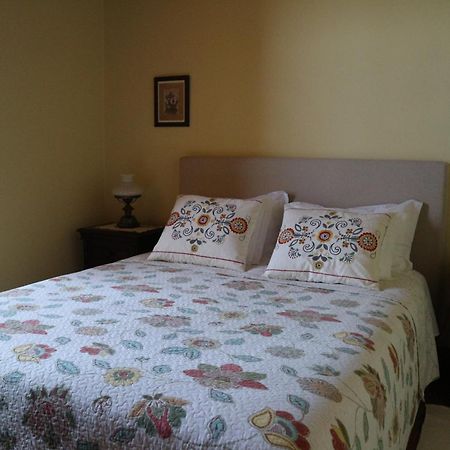 Quinta De Canhoes เซาเปโดรโดซูล ภายนอก รูปภาพ